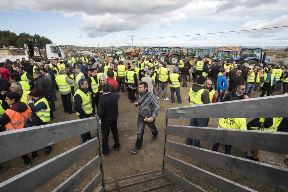 La ribera del Ebro dice basta y exige una limpieza urgente del cauce para minimizar las riadas
