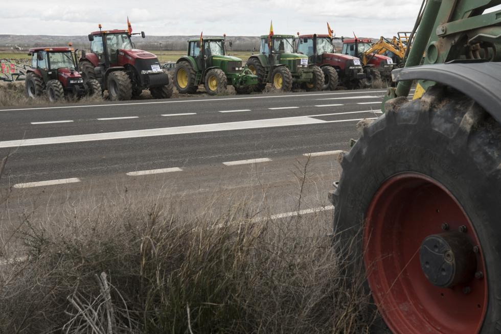 La ribera del Ebro dice basta y exige una limpieza urgente del cauce para minimizar las riadas