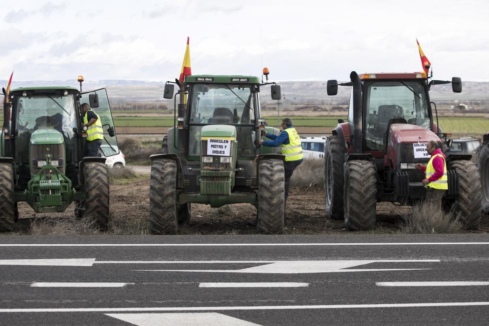 La ribera del Ebro dice basta y exige una limpieza urgente del cauce para minimizar las riadas