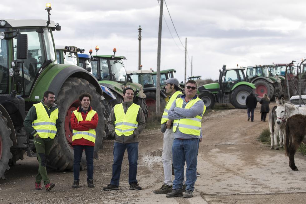 La ribera del Ebro dice basta y exige una limpieza urgente del cauce para minimizar las riadas