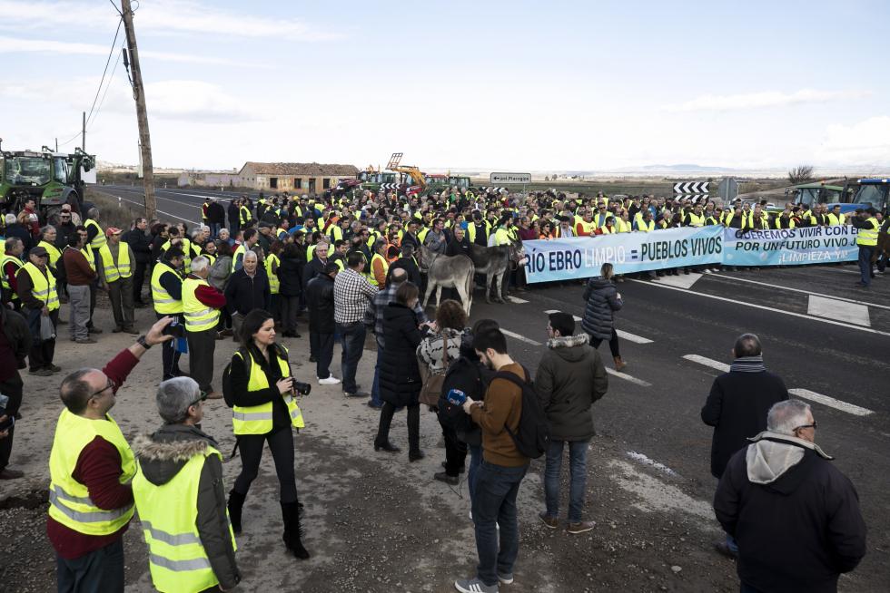 La ribera del Ebro dice basta y exige una limpieza urgente del cauce para minimizar las riadas