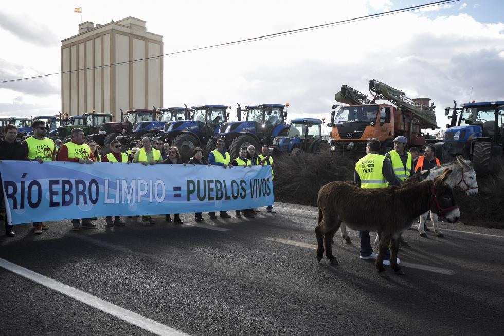 La ribera del Ebro dice basta y exige una limpieza urgente del cauce para minimizar las riadas