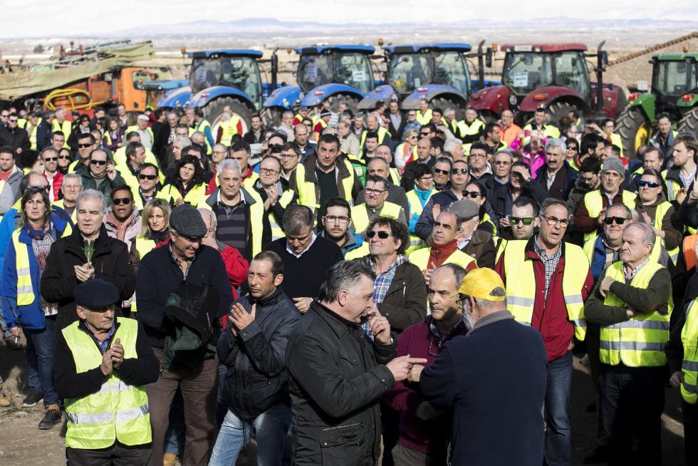 La ribera del Ebro dice basta y exige una limpieza urgente del cauce para minimizar las riadas