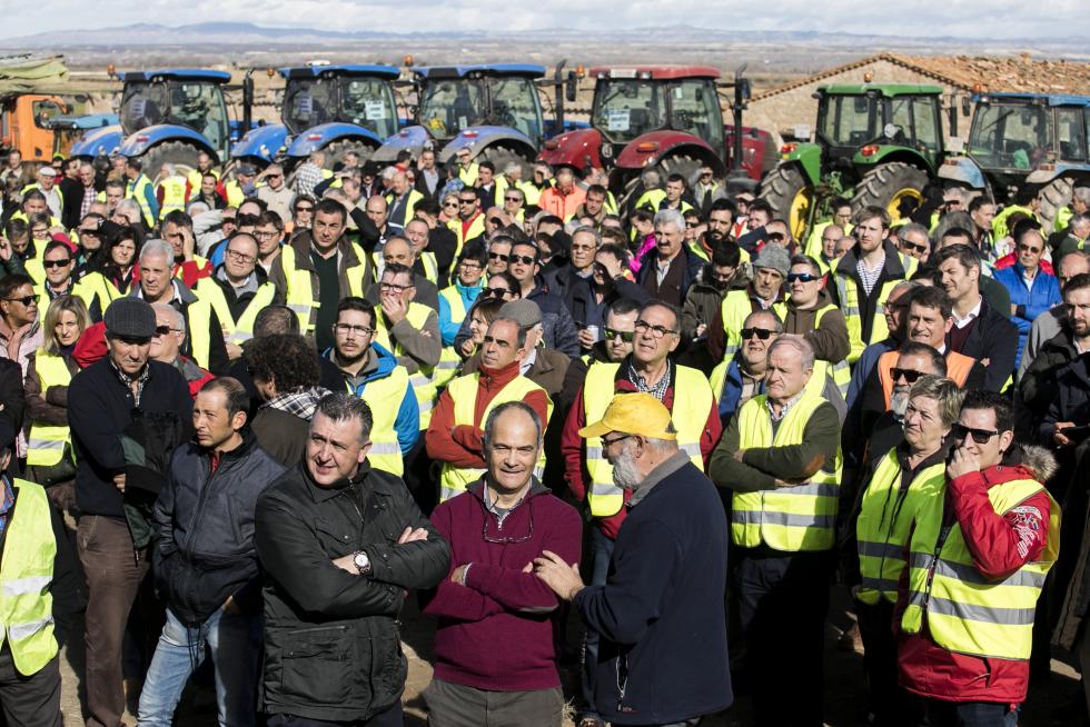 La ribera del Ebro dice basta y exige una limpieza urgente del cauce para minimizar las riadas