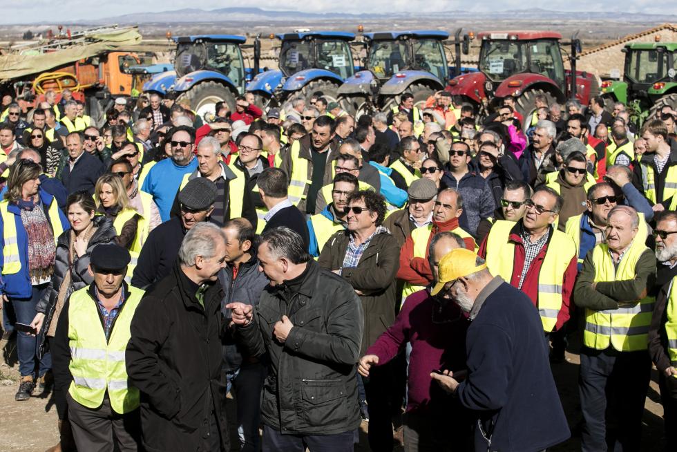 La ribera del Ebro dice basta y exige una limpieza urgente del cauce para minimizar las riadas
