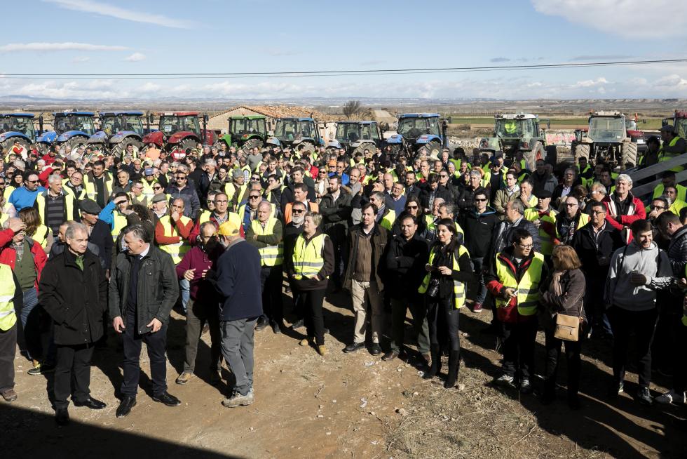 La ribera del Ebro dice basta y exige una limpieza urgente del cauce para minimizar las riadas