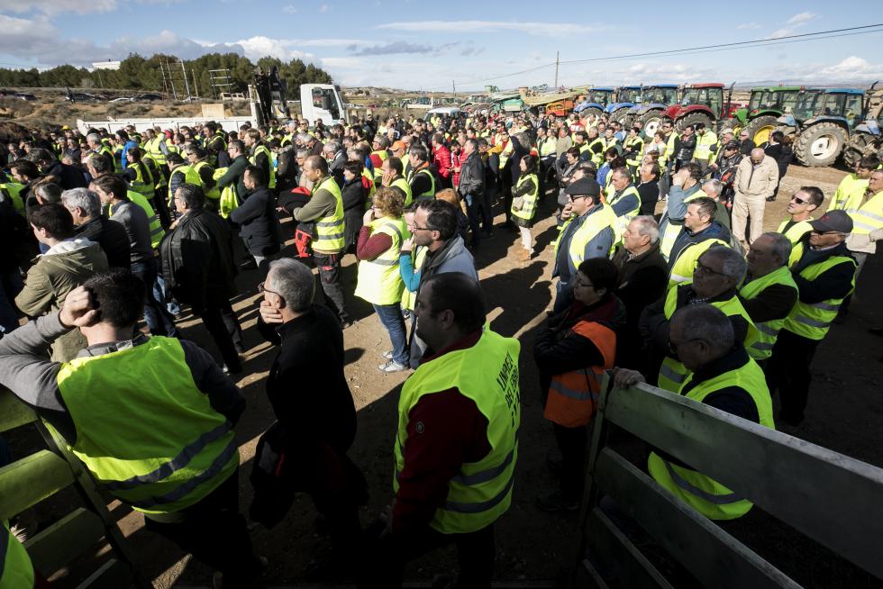 La ribera del Ebro dice basta y exige una limpieza urgente del cauce para minimizar las riadas