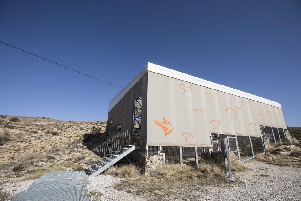 Los hallazgos de José María Herrero hace seis décadas generaron una fiebre paleontológica de la que este municipio no quiere curarse: la ilusión es ir un poco más allá en su explotación turística.