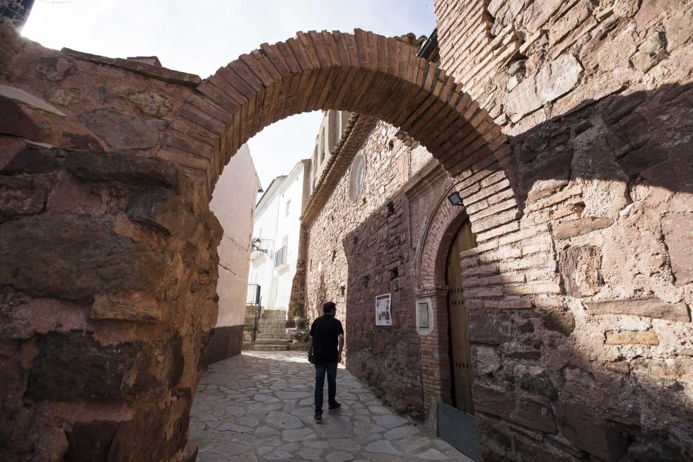 26 Oseja