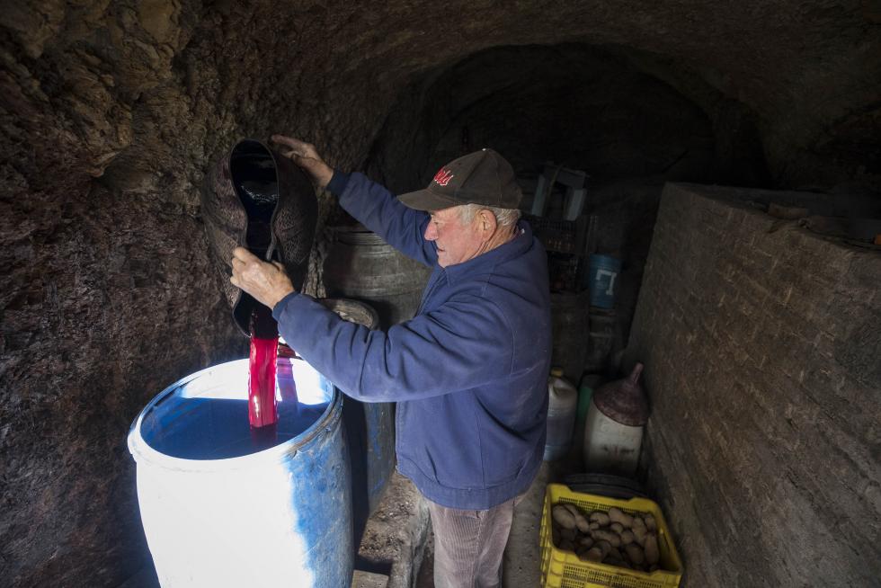 Oseja: celtíbera, bodeguera y llena de talentos