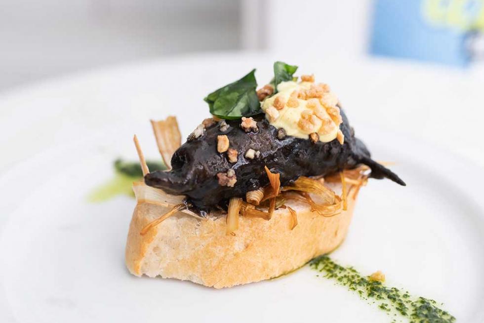 Tapa de Donde siempre para el I Festival Cocinicas de El Tubo.
