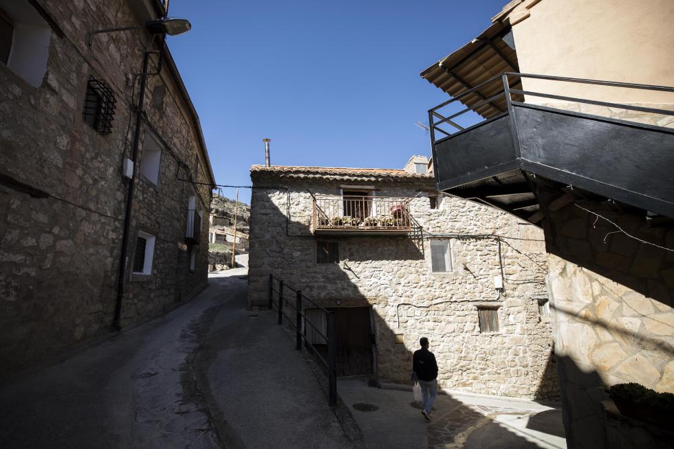 La aparición de varios abrigos de arte levantino en las paredes de piedra del término ha atraído el interés de expertos de toda España, y se valora el regreso de la actividad resinera.