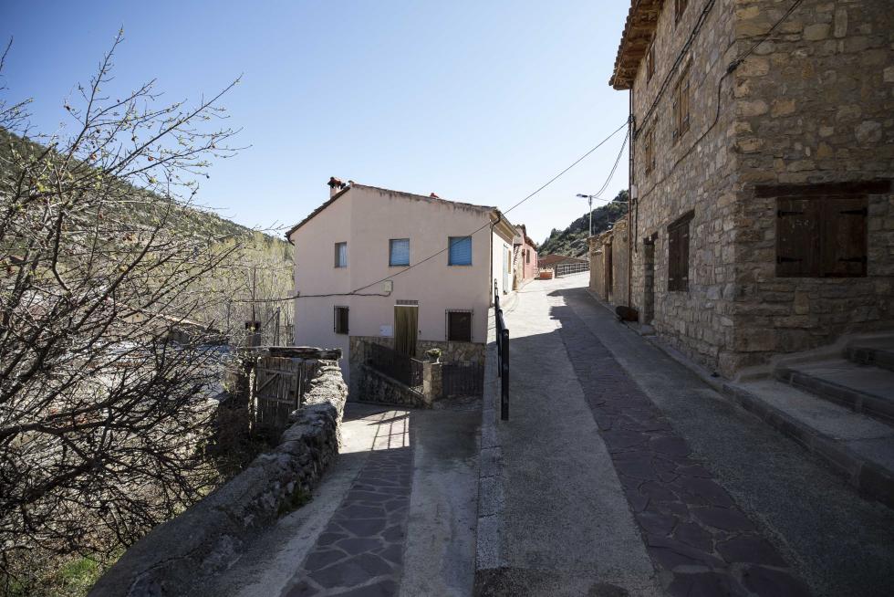 La aparición de varios abrigos de arte levantino en las paredes de piedra del término ha atraído el interés de expertos de toda España, y se valora el regreso de la actividad resinera.