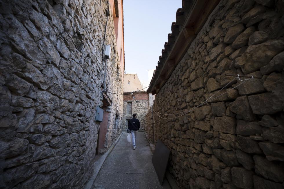 La aparición de varios abrigos de arte levantino en las paredes de piedra del término ha atraído el interés de expertos de toda España, y se valora el regreso de la actividad resinera.