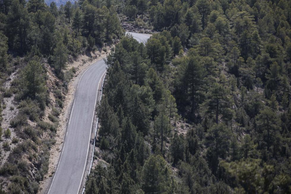 La aparición de varios abrigos de arte levantino en las paredes de piedra del término ha atraído el interés de expertos de toda España, y se valora el regreso de la actividad resinera.