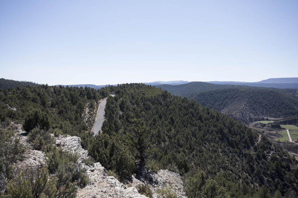 La aparición de varios abrigos de arte levantino en las paredes de piedra del término ha atraído el interés de expertos de toda España, y se valora el regreso de la actividad resinera.