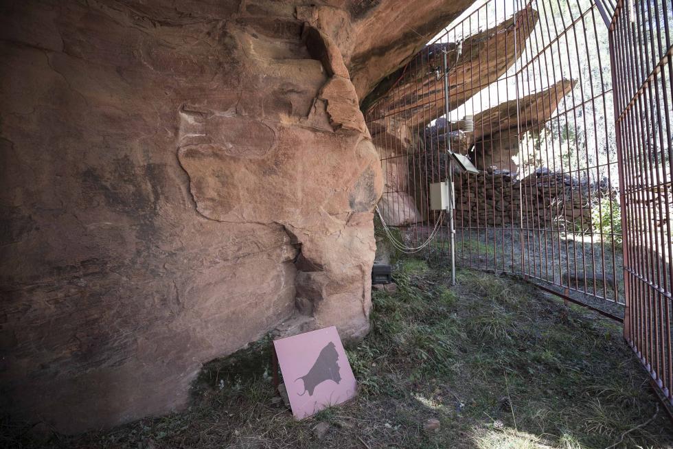 La aparición de varios abrigos de arte levantino en las paredes de piedra del término ha atraído el interés de expertos de toda España, y se valora el regreso de la actividad resinera.