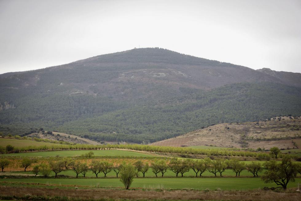 El pico de Santa Cruz ofrece una vista que va de la sierra Vicor a la laguna de Gallocanta, pasando por Guadalajara o el Moncayo. Allí se aloja un puesto de vigilancia contra incendios.
