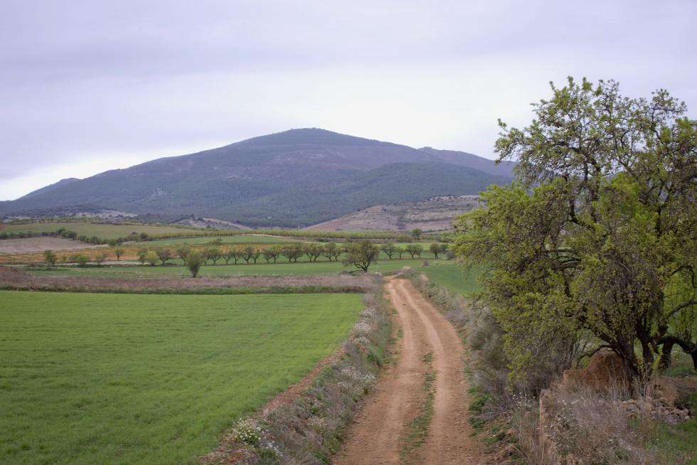El pico de Santa Cruz ofrece una vista que va de la sierra Vicor a la laguna de Gallocanta, pasando por Guadalajara o el Moncayo. Allí se aloja un puesto de vigilancia contra incendios.