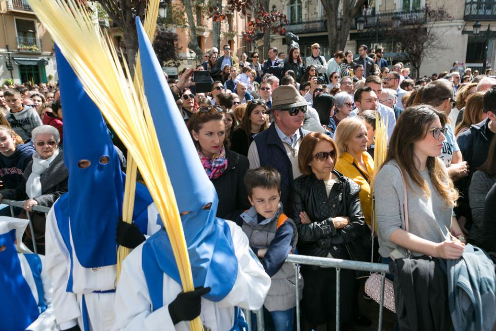 Semana Santa: Procesión del Domingo de Ramos en Zaragoza