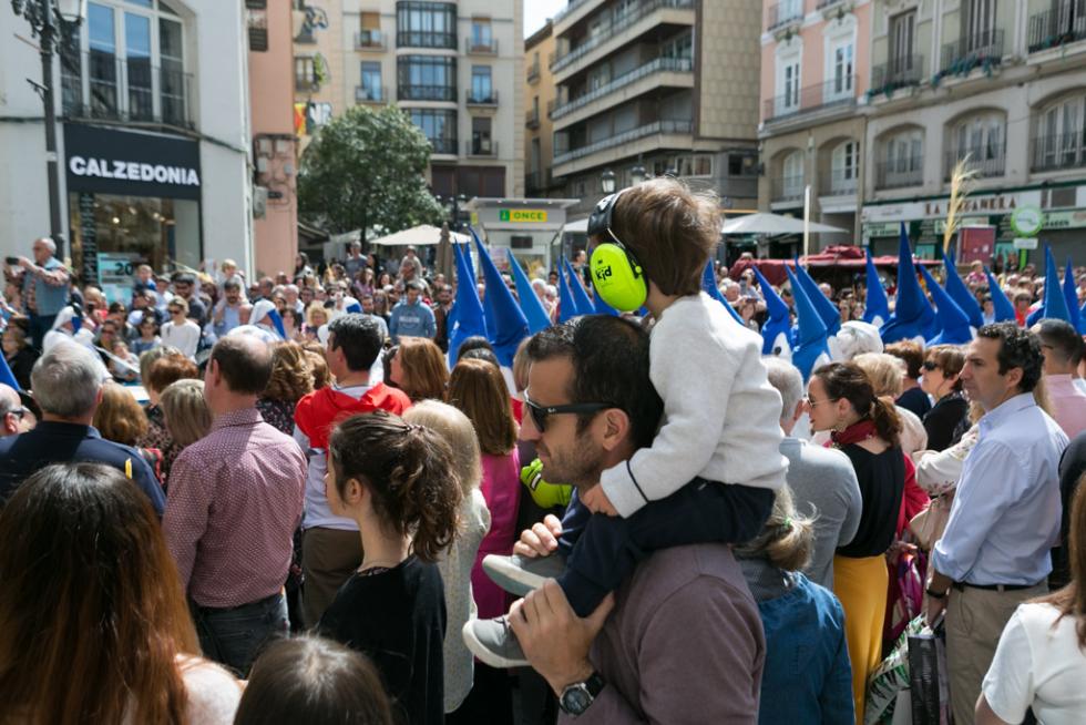 Semana Santa 2019: Procesión del Domingo de Ramos en Zaragoza