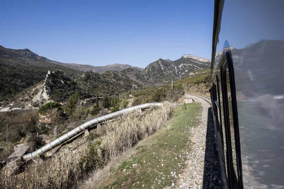 Especial 23 de abril. Marca Aragón