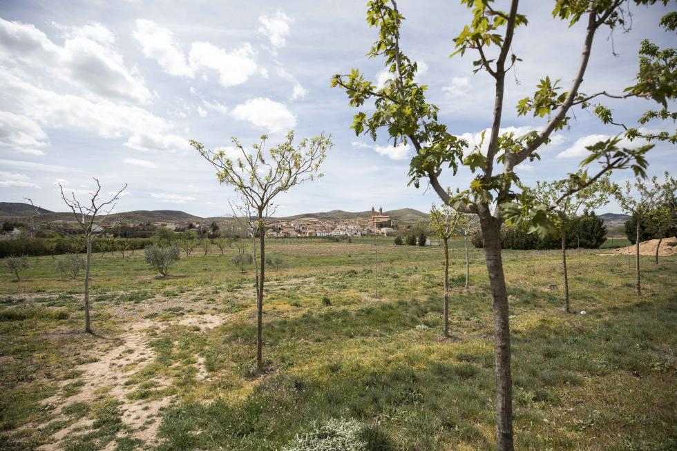 Dada la cercanía con el Monasterio de Piedra y la voluntad (asociativa y municipal) de maximizar el potencial turístico local con nuevas ideas, la localidad se ha convertido en un ejemplo de superación.
