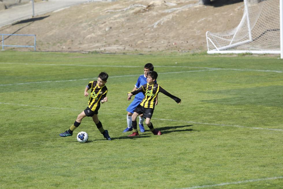 XI Torneo de San Jorge del Real Zaragoza