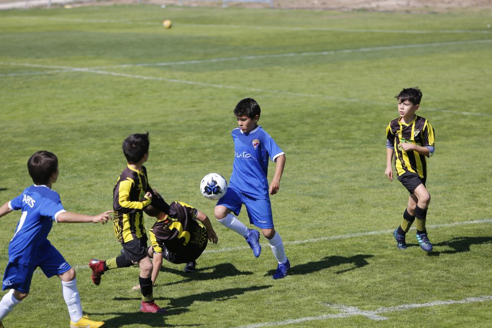 XI Torneo de San Jorge del Real Zaragoza
