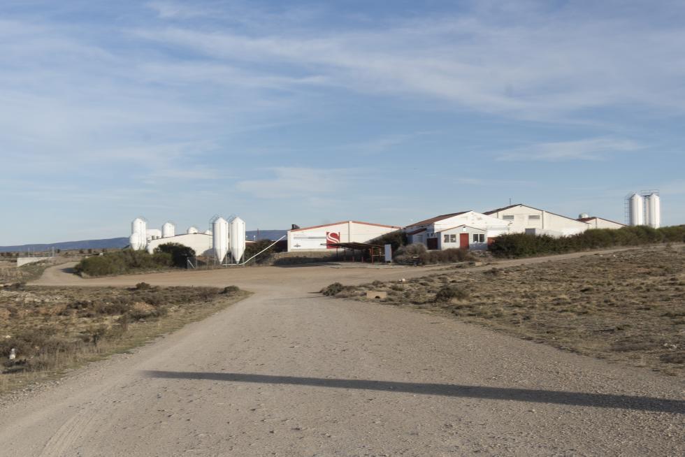 El Ayuntamiento captó en 2001 a varias familias argentinas con niños para evitar el cierre de la escuela. Tras aquella iniciativa, la presencia de extranjeros en el pueblo se ha consolidado.