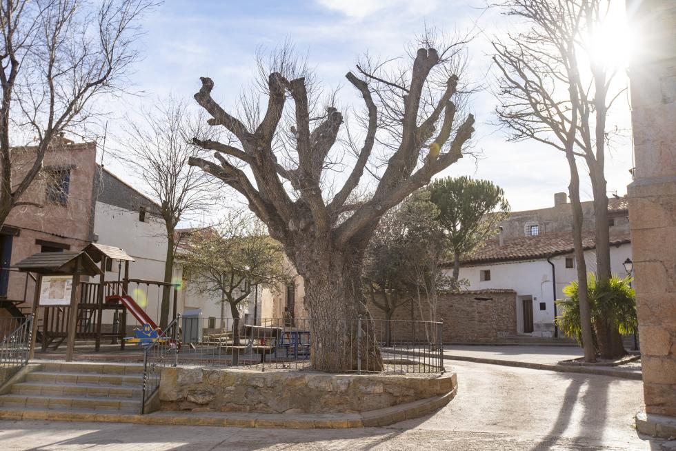 El Ayuntamiento captó en 2001 a varias familias argentinas con niños para evitar el cierre de la escuela. Tras aquella iniciativa, la presencia de extranjeros en el pueblo se ha consolidado.