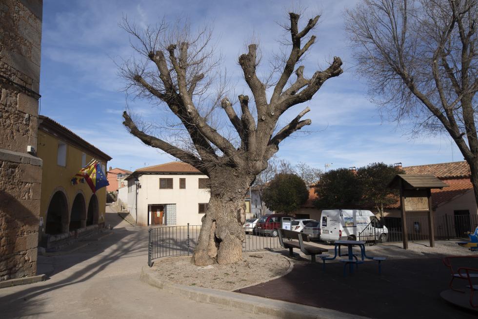 El Ayuntamiento captó en 2001 a varias familias argentinas con niños para evitar el cierre de la escuela. Tras aquella iniciativa, la presencia de extranjeros en el pueblo se ha consolidado.