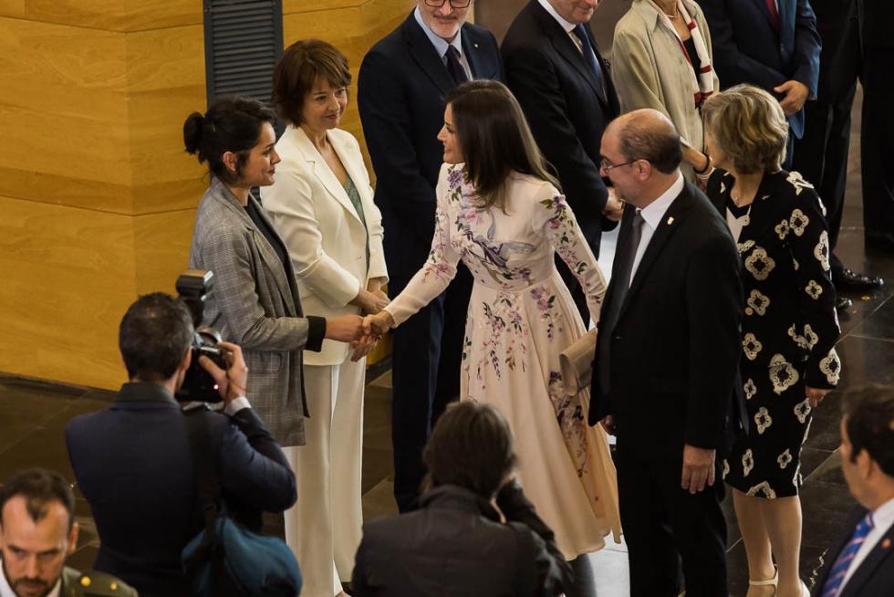 La reina Letizia preside en Zaragoza el acto central del Día Mundial de Cruz Roja