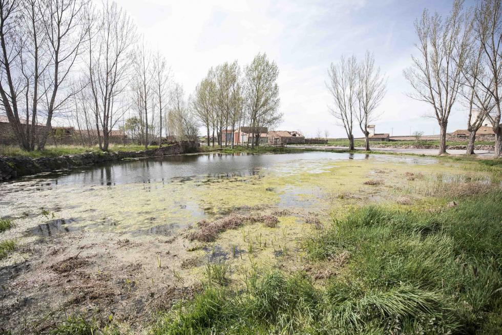 El pueblo se sostiene por el sector primario, pero ha sabido levantar sus valores patrimoniales y su bar atrae comensales de pueblos cercanos; solamente faltan más opciones laborales.