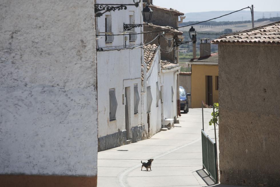 La producción frutal del municipio es célebre en toda España, y el ingenio de sus emprendedores combina la vocación de servicio con la calidad de los productos de naturaleza artesanal.