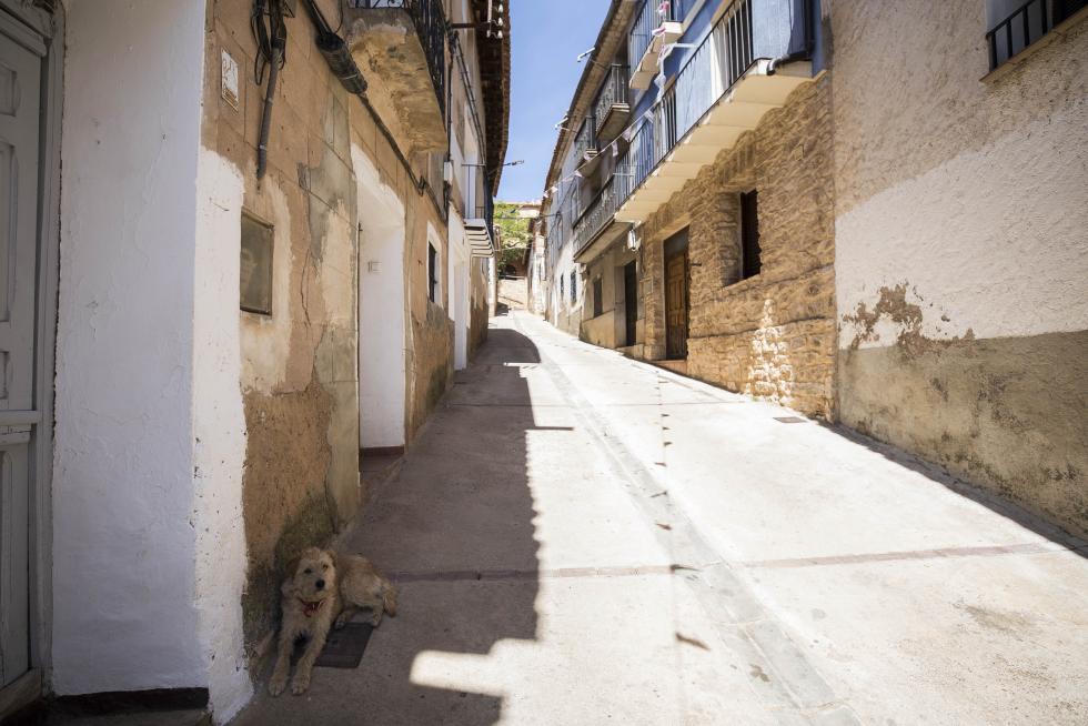 El municipio, que vive una situación esperanzadora en el sector primario, adolece sin embargo de conexiones adecuadas por carretera y tiene problemas de señal móvil e internauta.