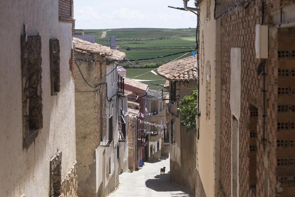 El municipio, que vive una situación esperanzadora en el sector primario, adolece sin embargo de conexiones adecuadas por carretera y tiene problemas de señal móvil e internauta.