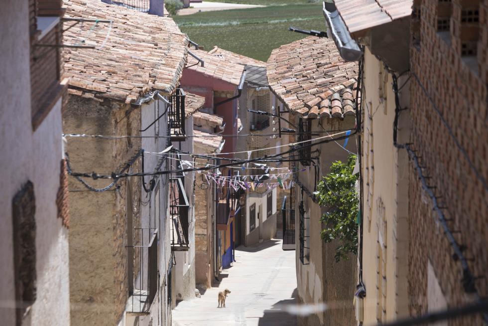 El municipio, que vive una situación esperanzadora en el sector primario, adolece sin embargo de conexiones adecuadas por carretera y tiene problemas de señal móvil e internauta.