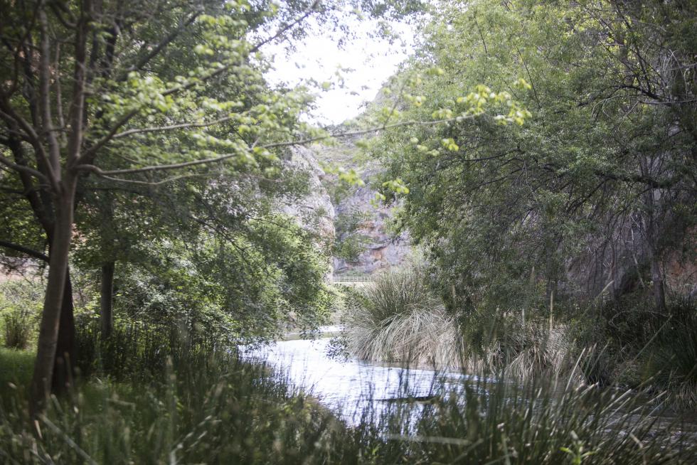 Además de seguir apostando por su gran riqueza de siempre, las aguas termales, el municipio amplía su oferta cultural y de servicios con el Museo del Juguete Recortable y varios comercios.