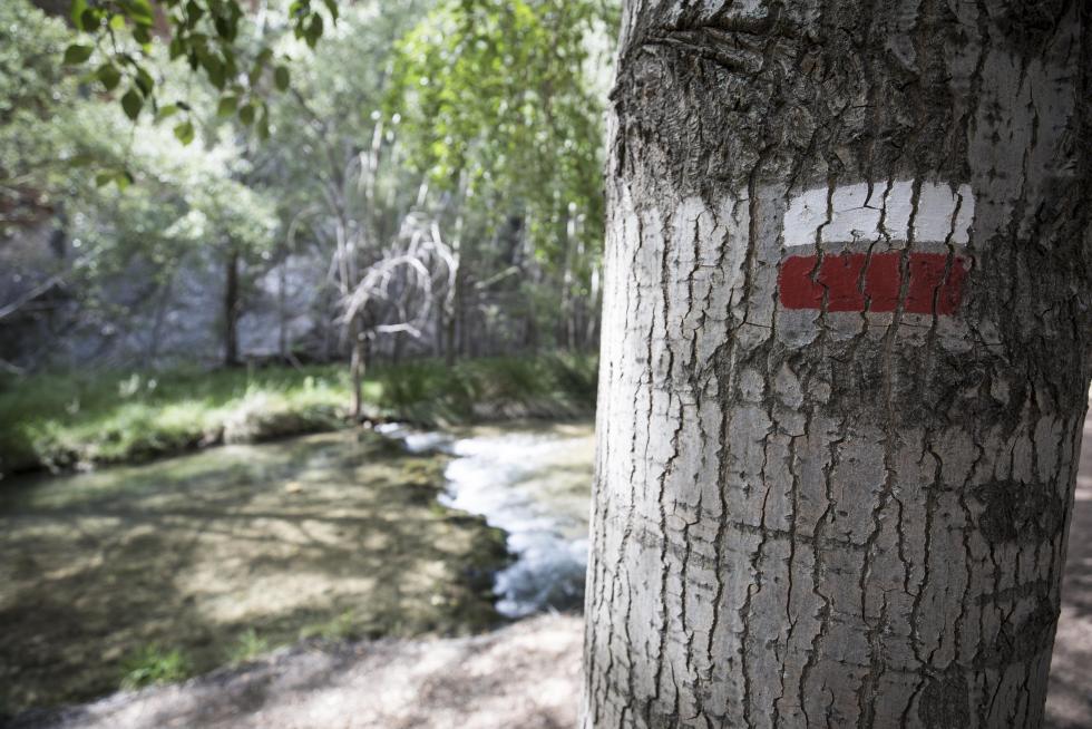 Además de seguir apostando por su gran riqueza de siempre, las aguas termales, el municipio amplía su oferta cultural y de servicios con el Museo del Juguete Recortable y varios comercios.