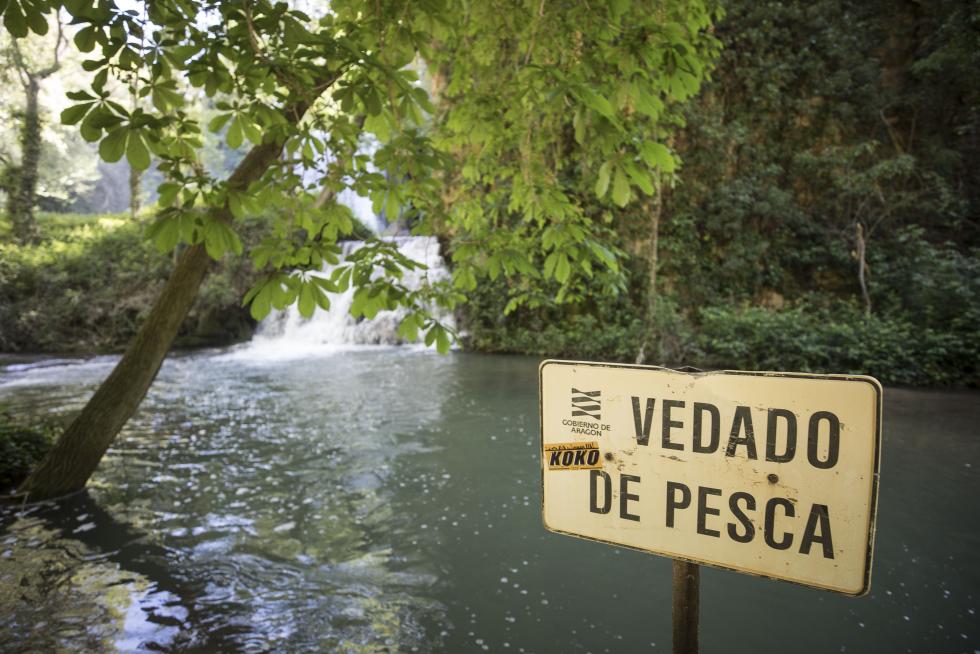 El incuestionable gancho turístico de uno de los lugares más visitados de Aragón (y de España) es compatible con la visita a la localidad que lo alberga, consagrada al sector de servicios.