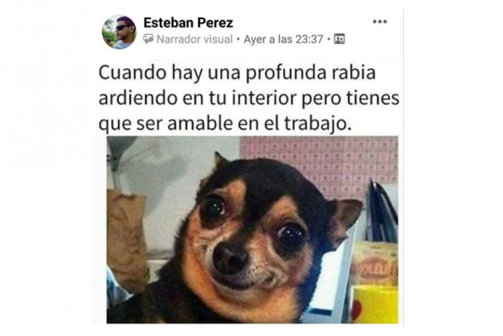 Memes de redes sociales