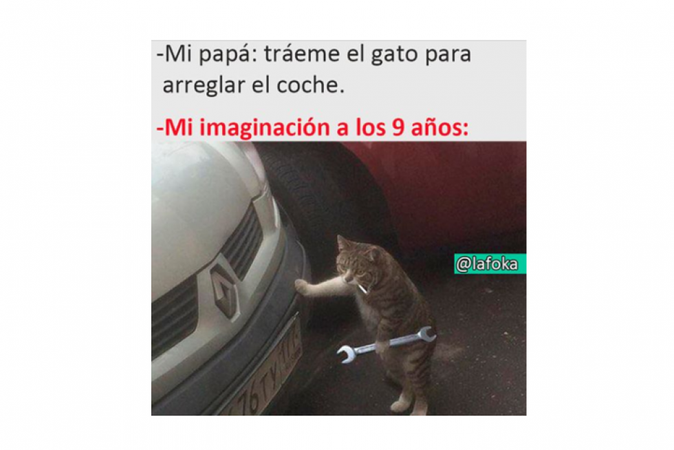 Memes de redes sociales