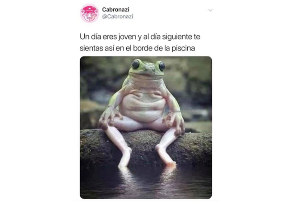 Memes de redes sociales