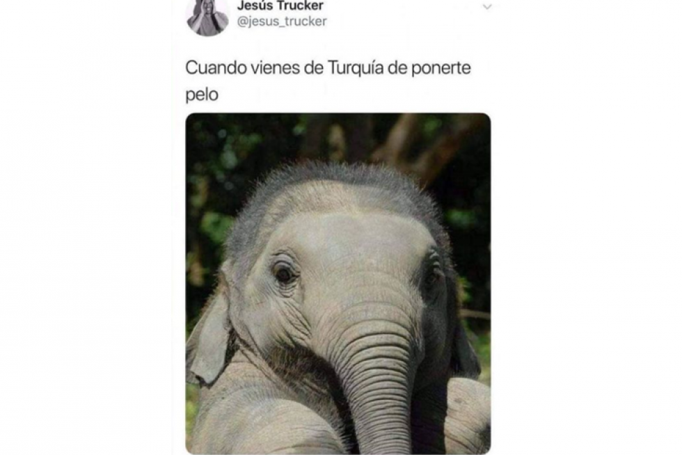 Memes de redes sociales