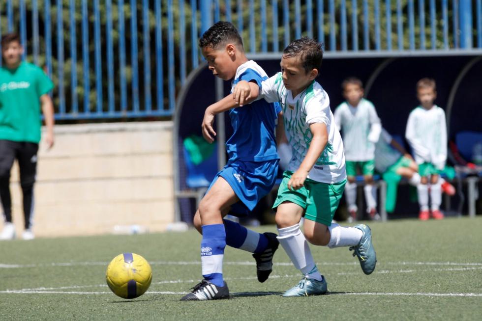 Final. Aragón Prebenjamín- Giner vs. El Olivar.