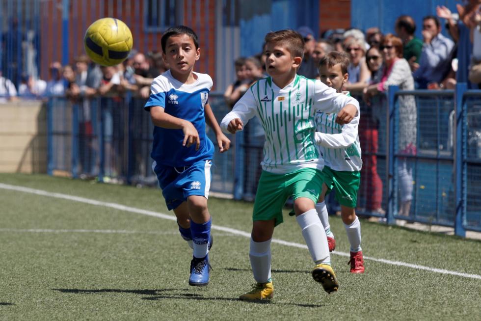 Final. Aragón Prebenjamín- Giner vs. El Olivar.