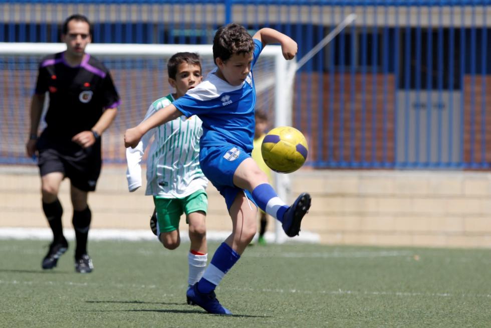 Final. Aragón Prebenjamín- Giner vs. El Olivar.