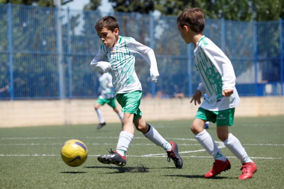 Final. Aragón Prebenjamín- Giner vs. El Olivar.