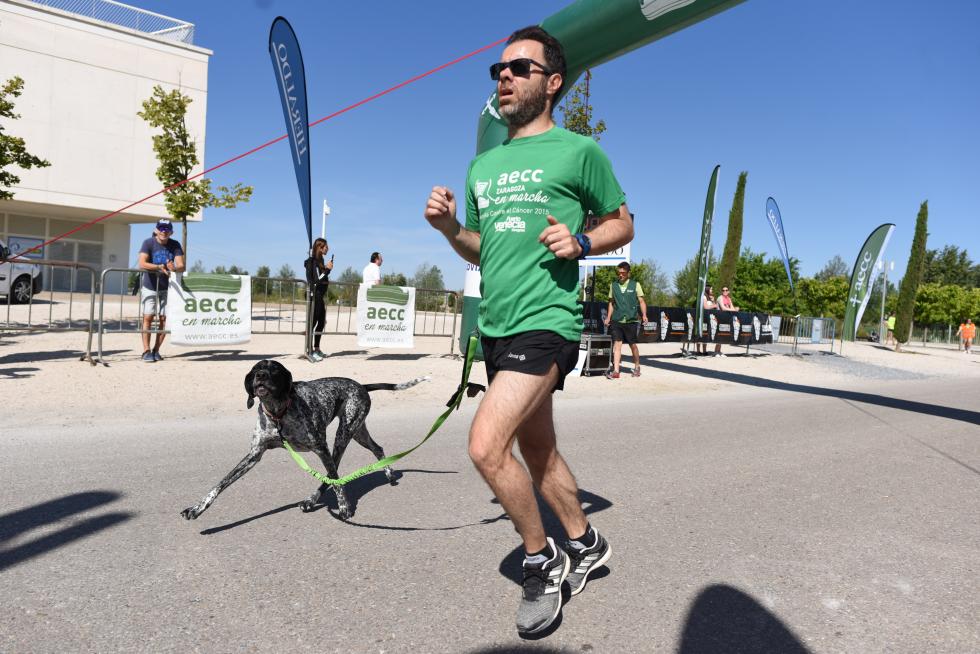 VI Marcha contra el Cáncer